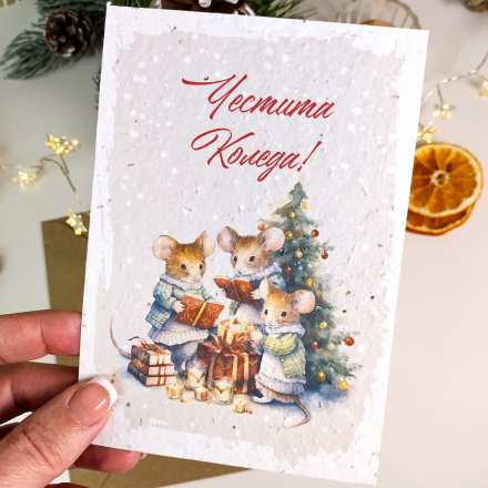 Уникална коледна картичка със семена на цветя