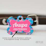 Цветен медальон за женско куче в Gifty.BG